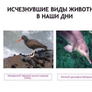 Extinct and rare animals of Russia and the world